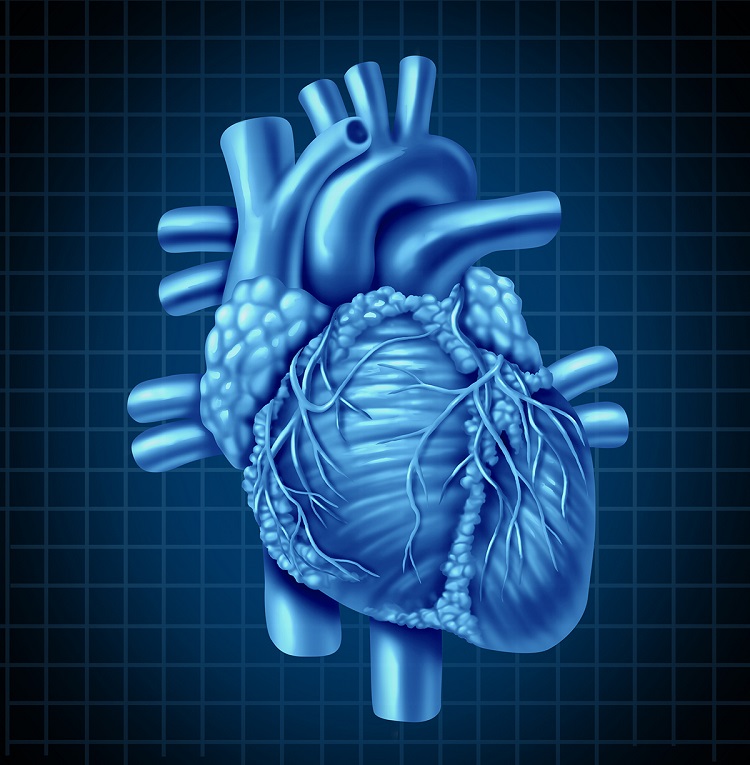 Benefits & Drawbacks Of The Surgical Approach For A Leaky Heart