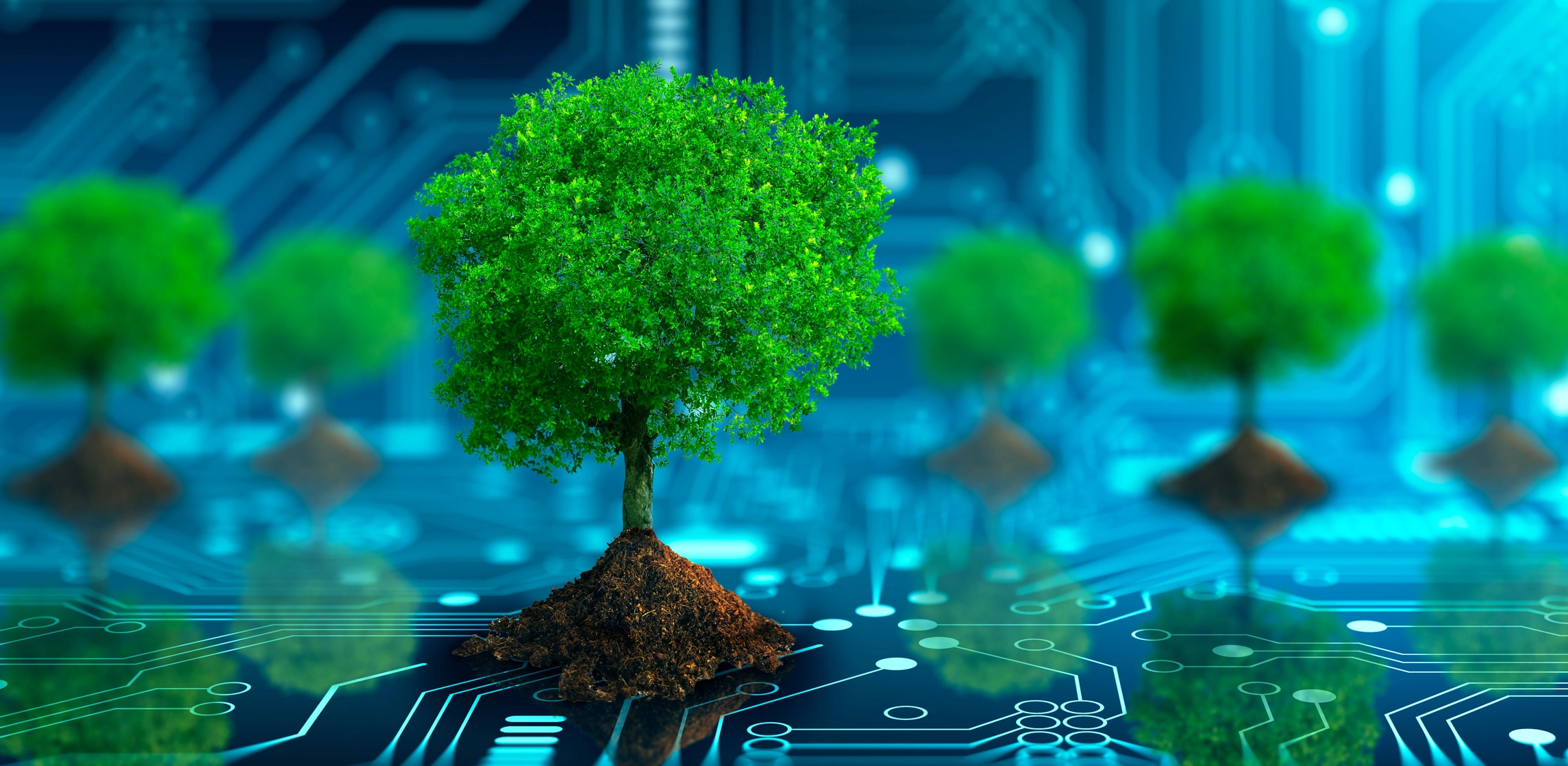 Climate Series PSG USVSAwersVentureBeat An Informative Overview