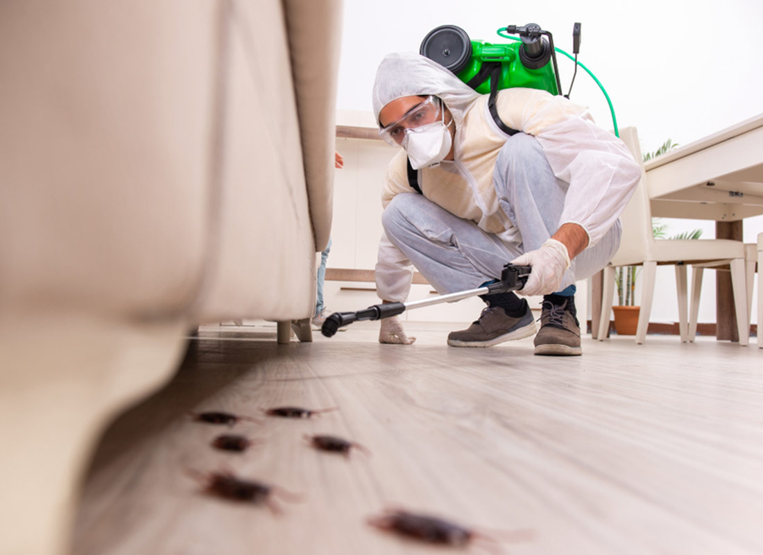 How Pest Control Services in Perth Can Help You Rest Easy