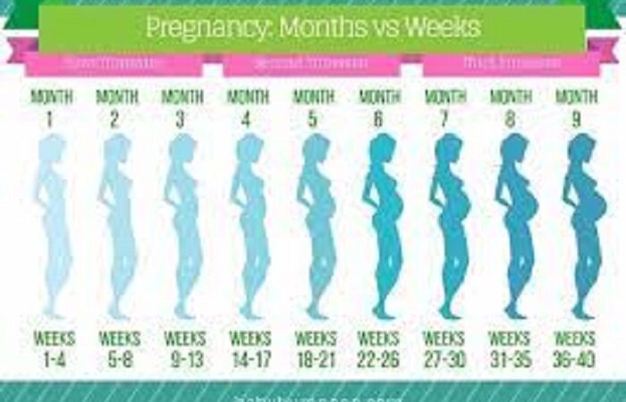 How Many Weeks are in a Month?