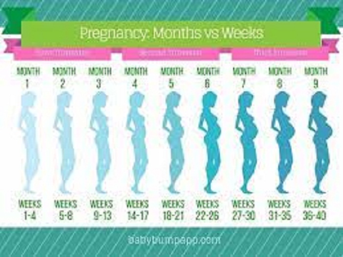 How Many Weeks are in a Month?