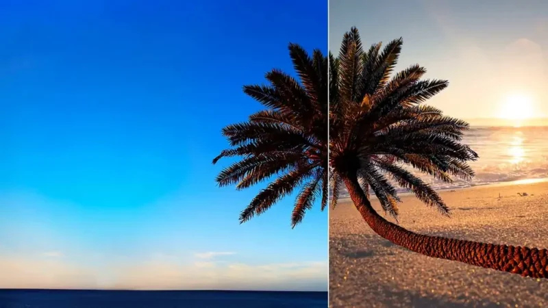 The Benefits of Online Background Change in Photos