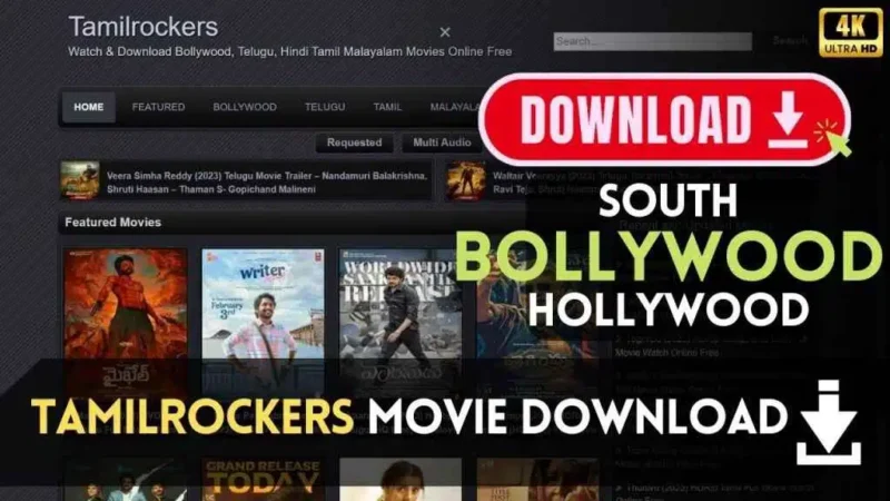 The Rise and Fall of Tamilrockers.CZ: A Comprehensive Analysis