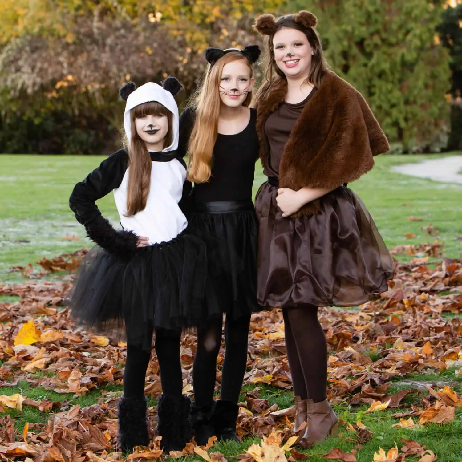 Halloween Costume Ideas for Tweens Girls
