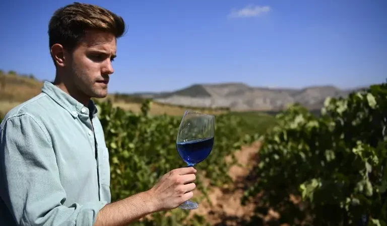 Buy Gik Blue Wine: A Unique and Refreshing Experience