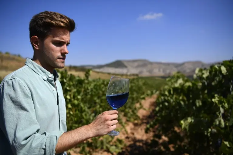 Buy Gik Blue Wine: A Unique and Refreshing Experience