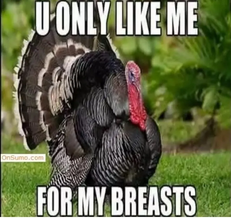 The Hilarious Side of Thanksgiving: A Collection of Amusing Images