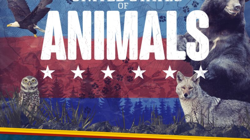 What Animals Are Native to the United States
