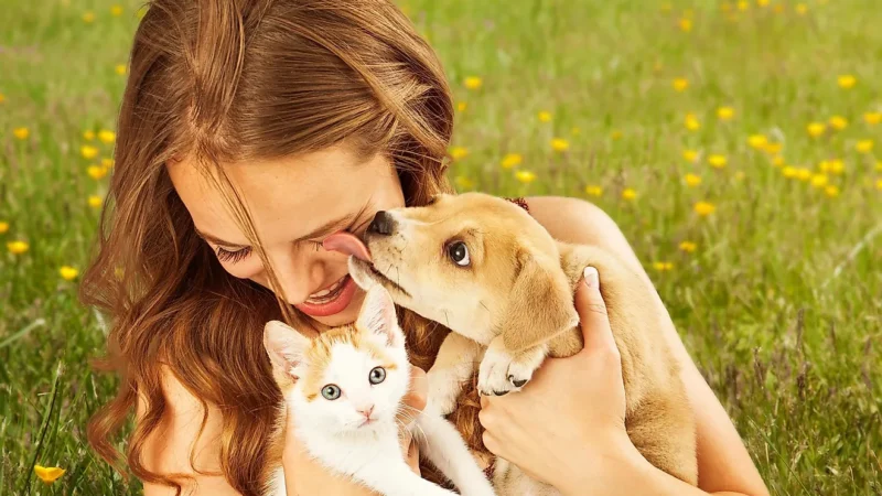 What Is the Most Popular Animal in the US?