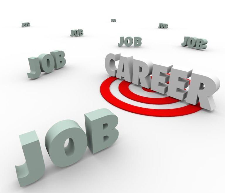 Job and Career: Crafting Your Path to Success