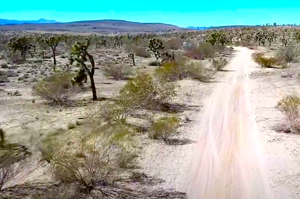 Yucca Valley News